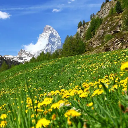 شقة Adlerhorn By Interhome زيرمات